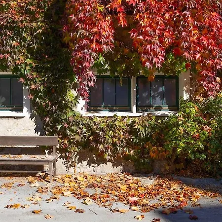 Charlotte - Appartement