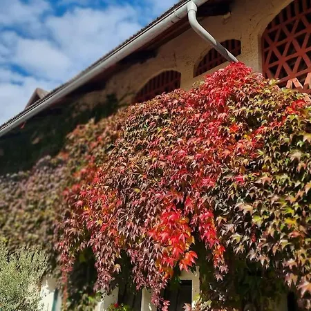 Appartement Charlotte - *