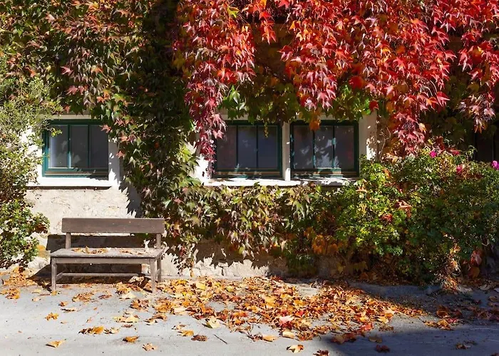 Charlotte - Apartament