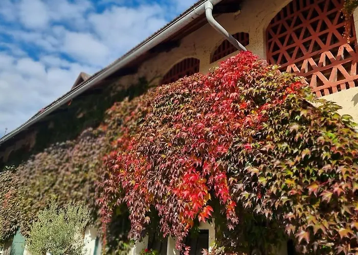 Apartament Charlotte - *